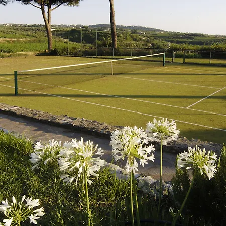 Tenuta Cusmano *